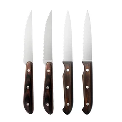 Multiple styles of selection factory price steak knife set high quality wood handle steak knife