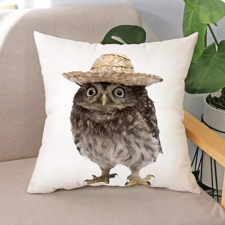 Euro Money Pillow Cushion Custom Square Pillow designer Licensed home KIt | Pillow Special Souvenir