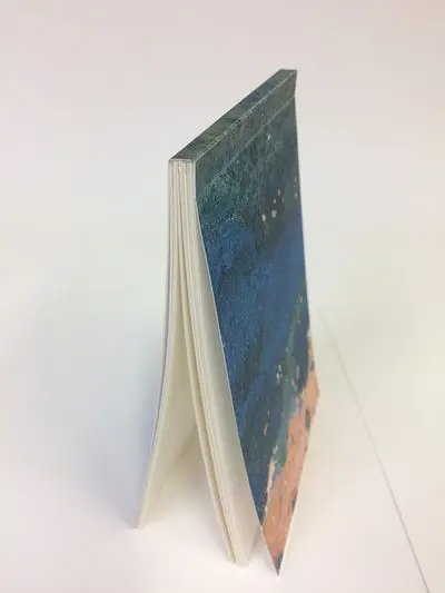 Бесплатный образец заказных книг новая история Книга в мягком переплете с идеальным переплетом
