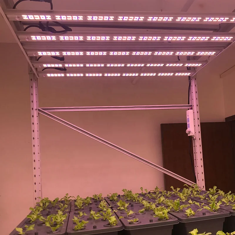 Accept OEM Dimmable 301b Plant Hydroponic 650W Full Spectrum Plant  Grow Light,Indoor Grow Light Spectrum