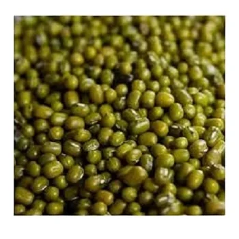 Top Quality Pure Green Mung Beans / Whole Moong Beans For Sale At Cheapest Wholesale Price