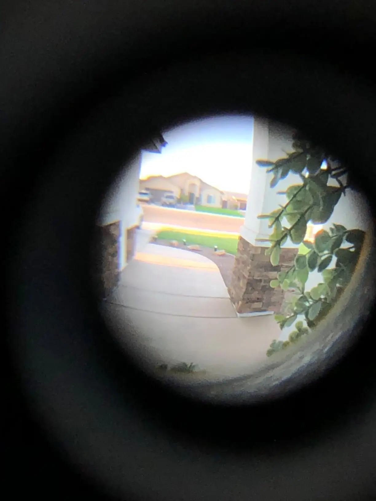 hot sale Zinc Alloy Black/gold/rSatin nickel 180 Degree Front Door Security Peephole with Cover