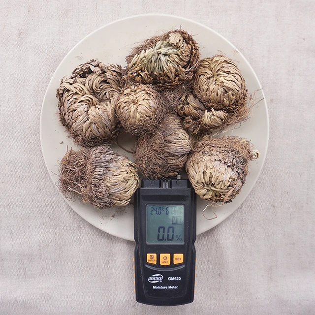  High Quality Dried Selaginella tamariscina Chinese herb