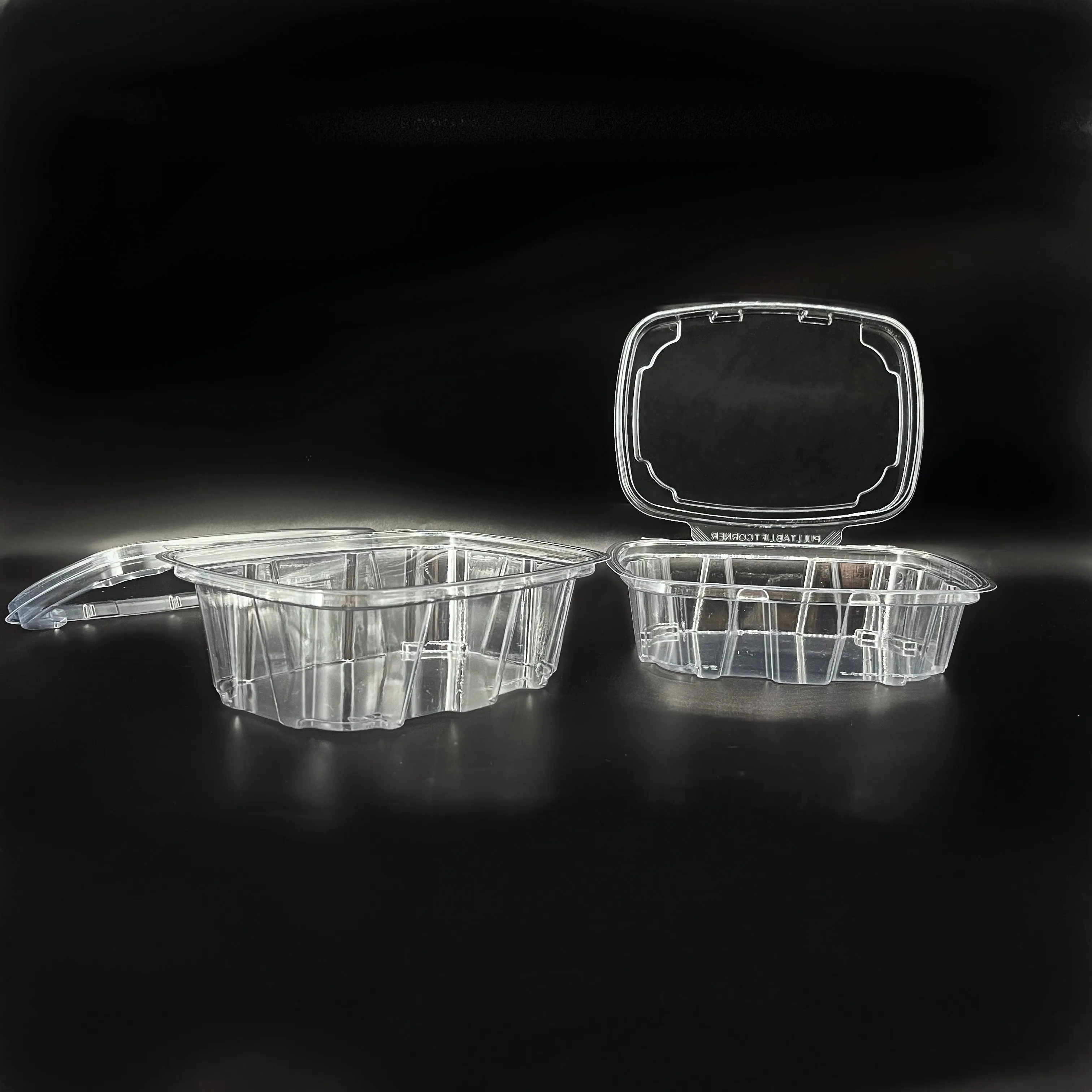 20OZ Biodegradable Disposable Deli Clear Rectangle Sandwich Packaging Plastic Food Catering Platter Trays Plastic Packing Box