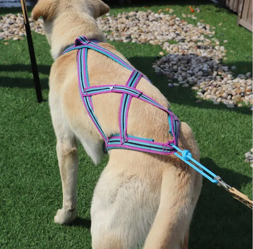 Pet Sled Harness Dog Pulling Harness Mushing X Back Harness for Dog Training Working Exercise Sledding skijoring Scootering