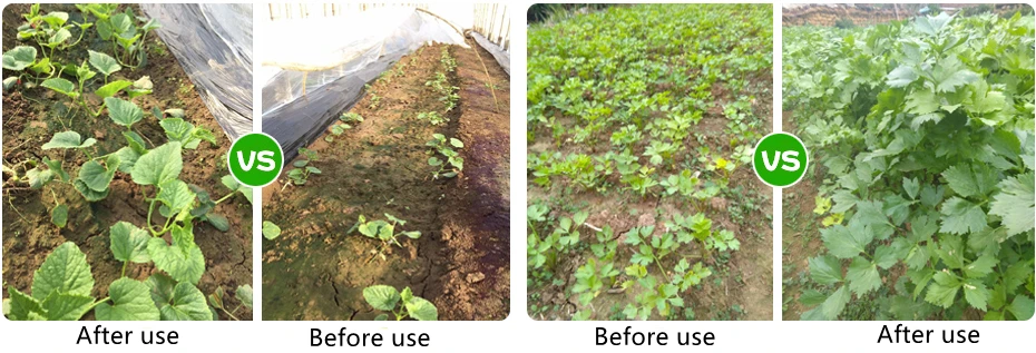 Compound Fertilizer NPK 12-12-17 + MgO