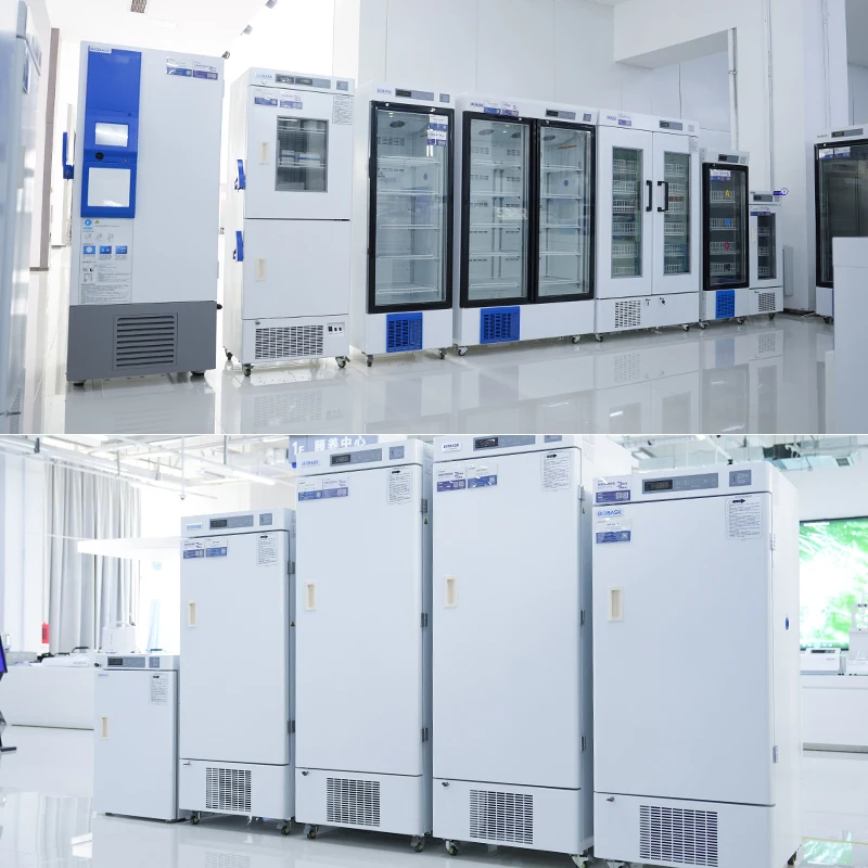 BIOBASE China Dry Bath Incubator BJPX-DB2 with temperature deviation calibration function. for biochemistry labs