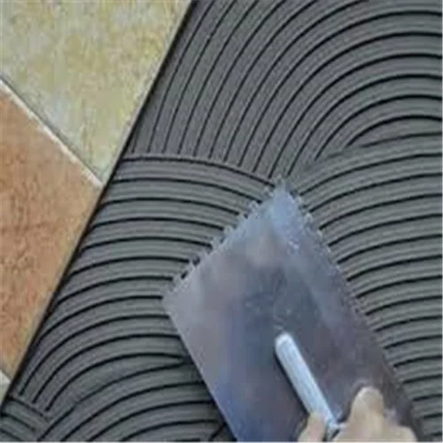 VAE RDP for Wall Putty