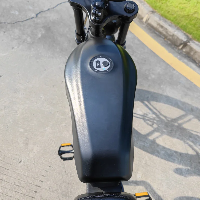 V30 Pedal Assist Electric Bike Bicycle Fat Tire Ebike 2 Wheel Drive Electric Bike 250w 750w Import Electric Bikes from China