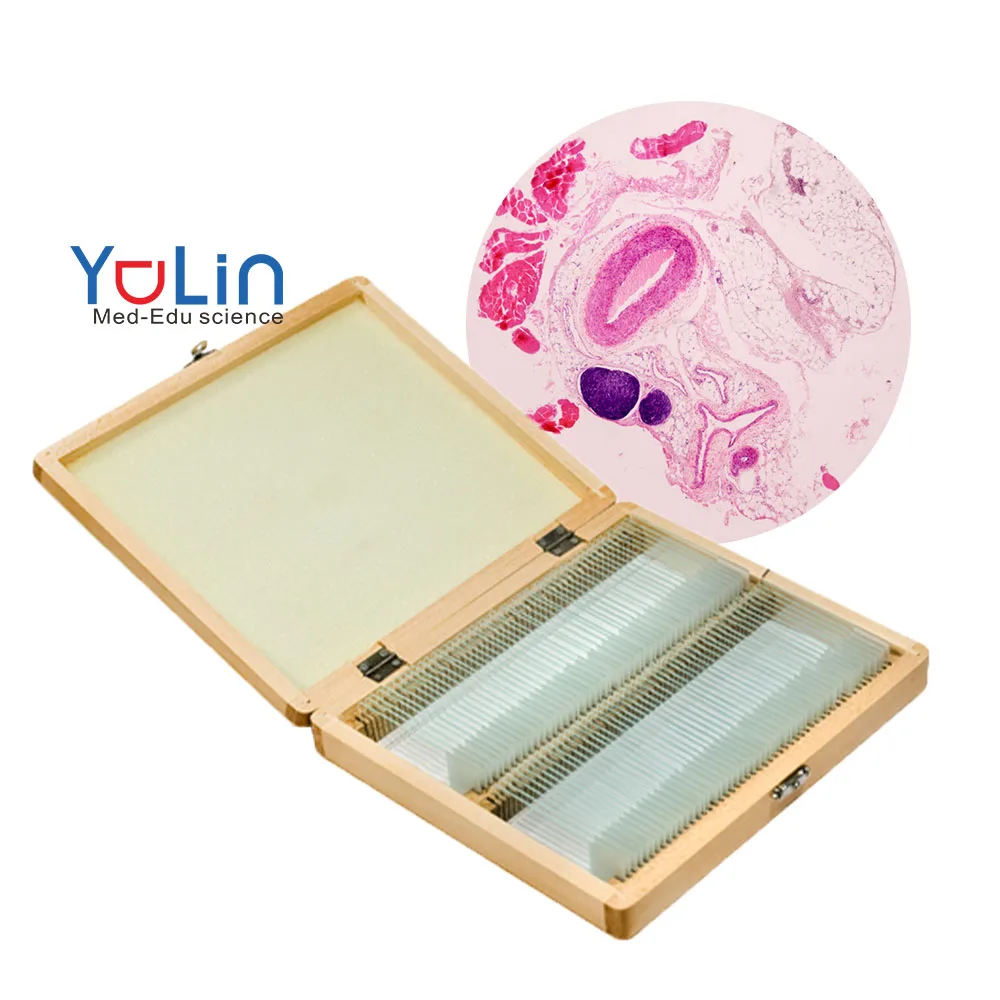 high quality microscope prepared slides set educational supplies microscope prepared slides Histology prepared slides set 12 pcs
