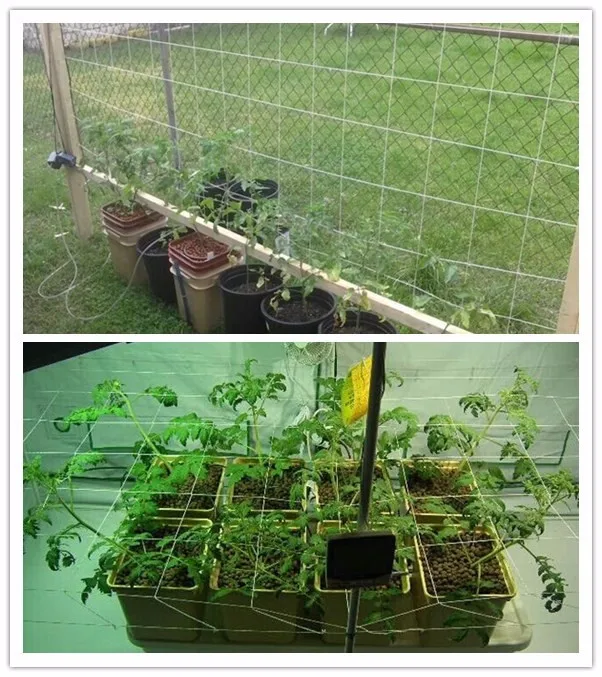 
Plastic Wire Mesh Rolls Gardening Mesh Hole 6x6 Biodegradable Nylon Trellis Netting 