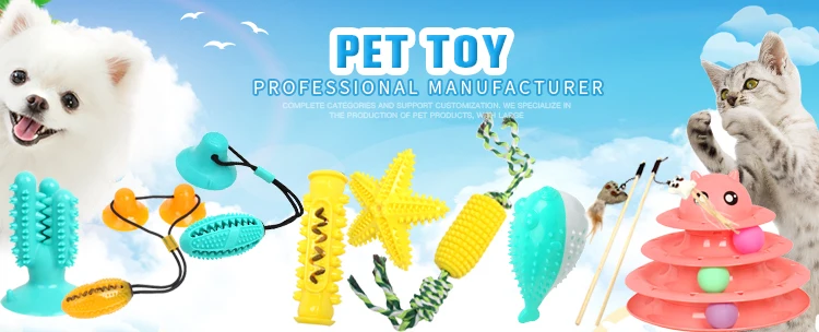 Pet Toy.jpg