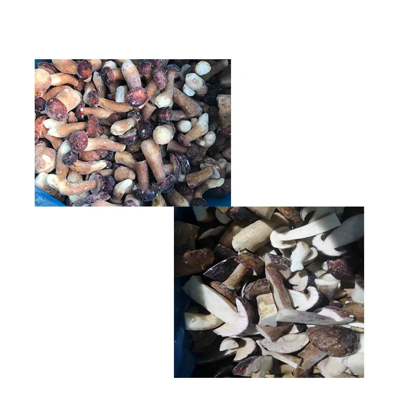 Китайские грибы, замороженные нарезанные кубики, porcini, гриб bolete edulis funghi porcini boletus aereus steinpilz