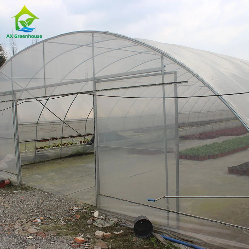 Cheap Single Span Film Tunnel Greenhouse