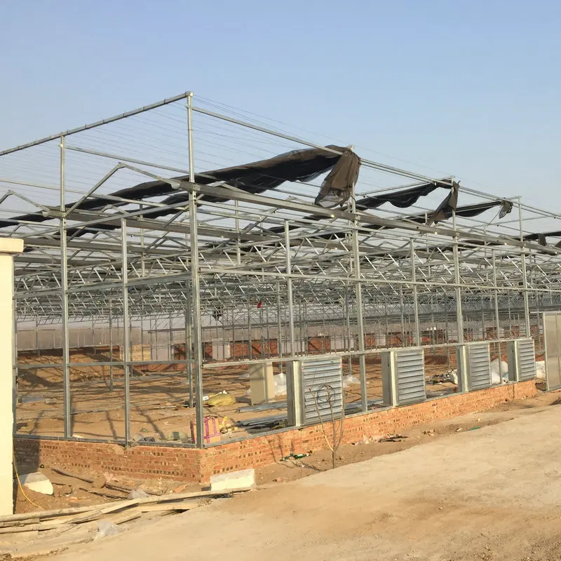 China manufacturer pc sheet greenhouse with cooling system wet pad and exhaust fan
