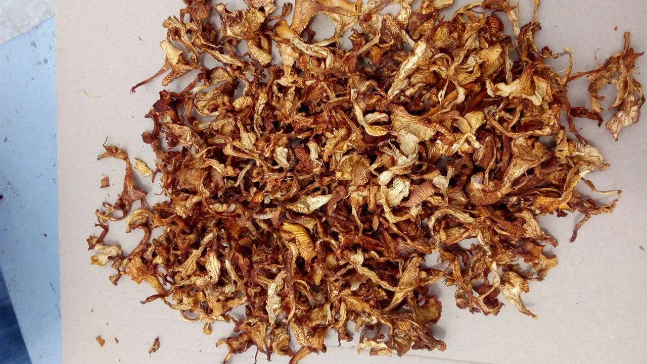 Dried Cantarellus cibarius  (Girolles, Pfifferlinge, Chantarelle, Kurka) - First grade. Natural Wild Fungus.