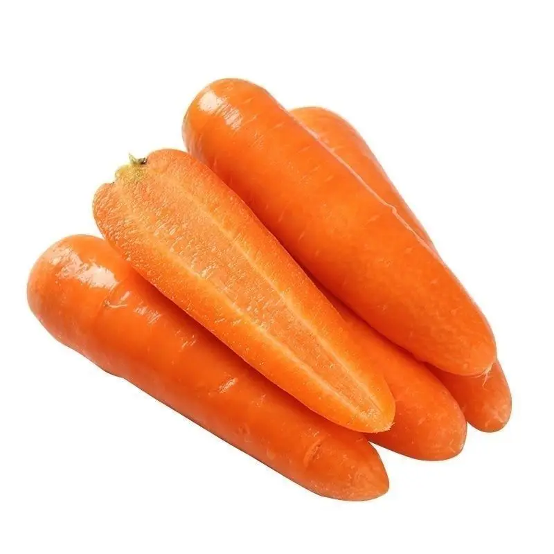 Super quality fresh farmers produce high-quality carrots and seasonal carrots