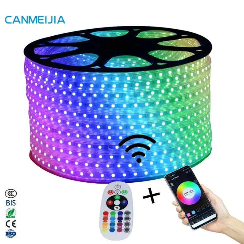 100 м 220 В 5050 SMD неоновый контроллер RGB RGW гибкий Tira De Luz Led IP65 водонепроницаемая светодиодная лента, светодиодная лампа RGB