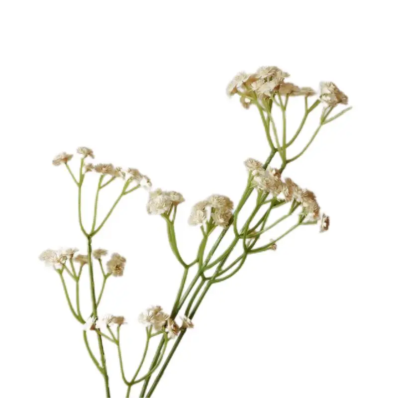 Hot Sale 81 Heads Haworthia Minima Silk Artificial Boutique Flowers Wedding Party Event Hotel Home Decorative Florals