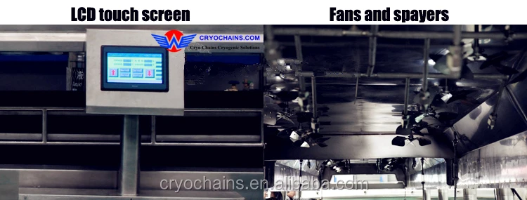 Недорогой туннельный Морозильный аппарат IQF с жидким азотом для рыбы и креветок