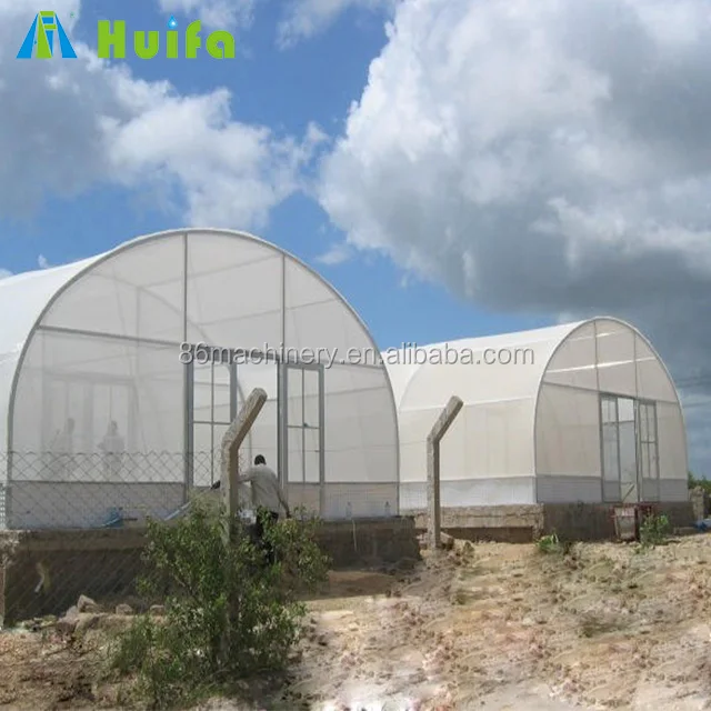 Industrial Single Span Mushroom Grow Tent Greenhouse Tunnel Polycarbon Light Dep Automatic Curtain Hydroponic Greenhouse Garden