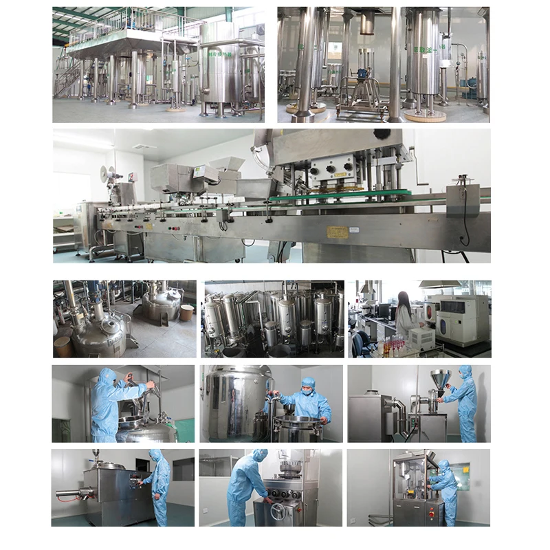 100% чистый органический 10% 20% 30% 40% 50% полисахарид Ganoderma Lucidum Reishi, экстракт грибов, порошок грибов