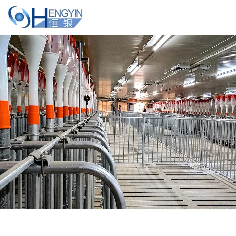 Can be customized high quality Sows pregnancy cage pig gestation crates Pens for pig farm equipment