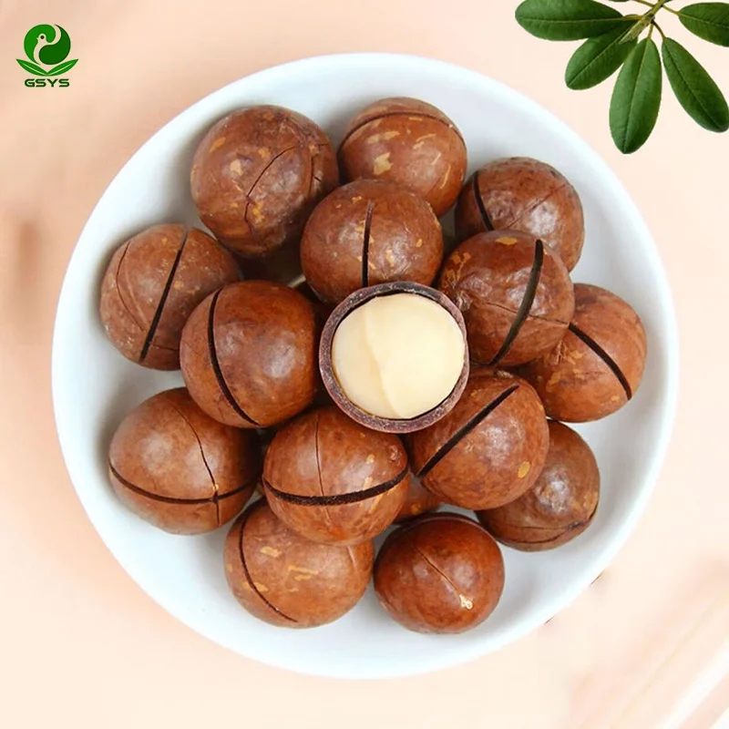 Оптовая продажа дешевая цена орехи макадамия размер раковины 25 мм +