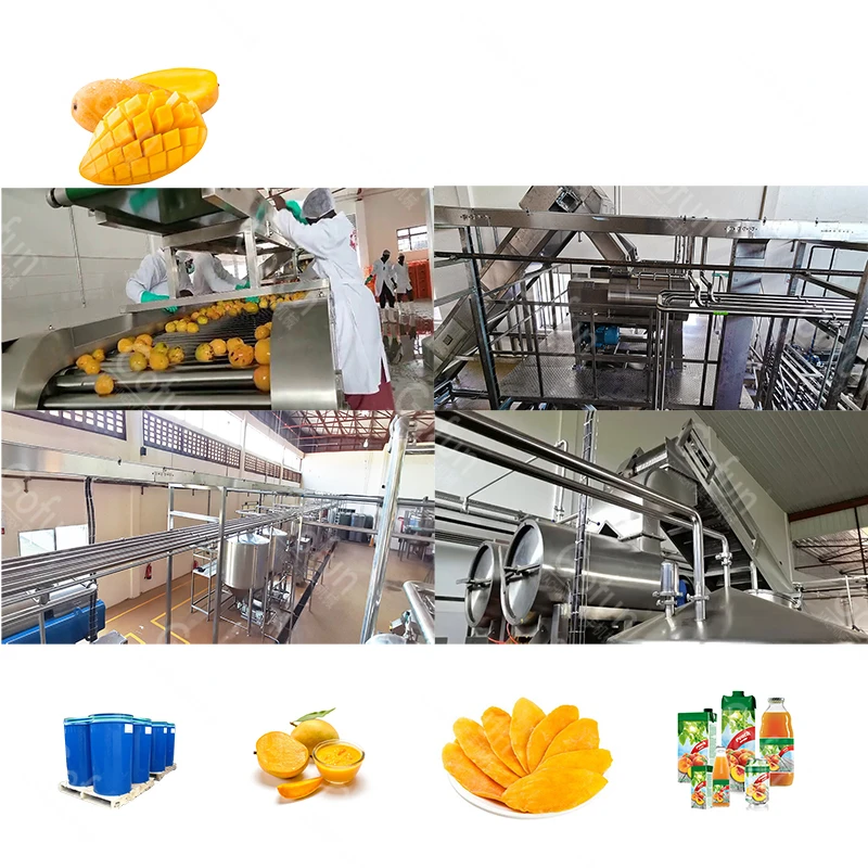 Automatic dry/dried/drying fruit plant machine processing line manufacturer