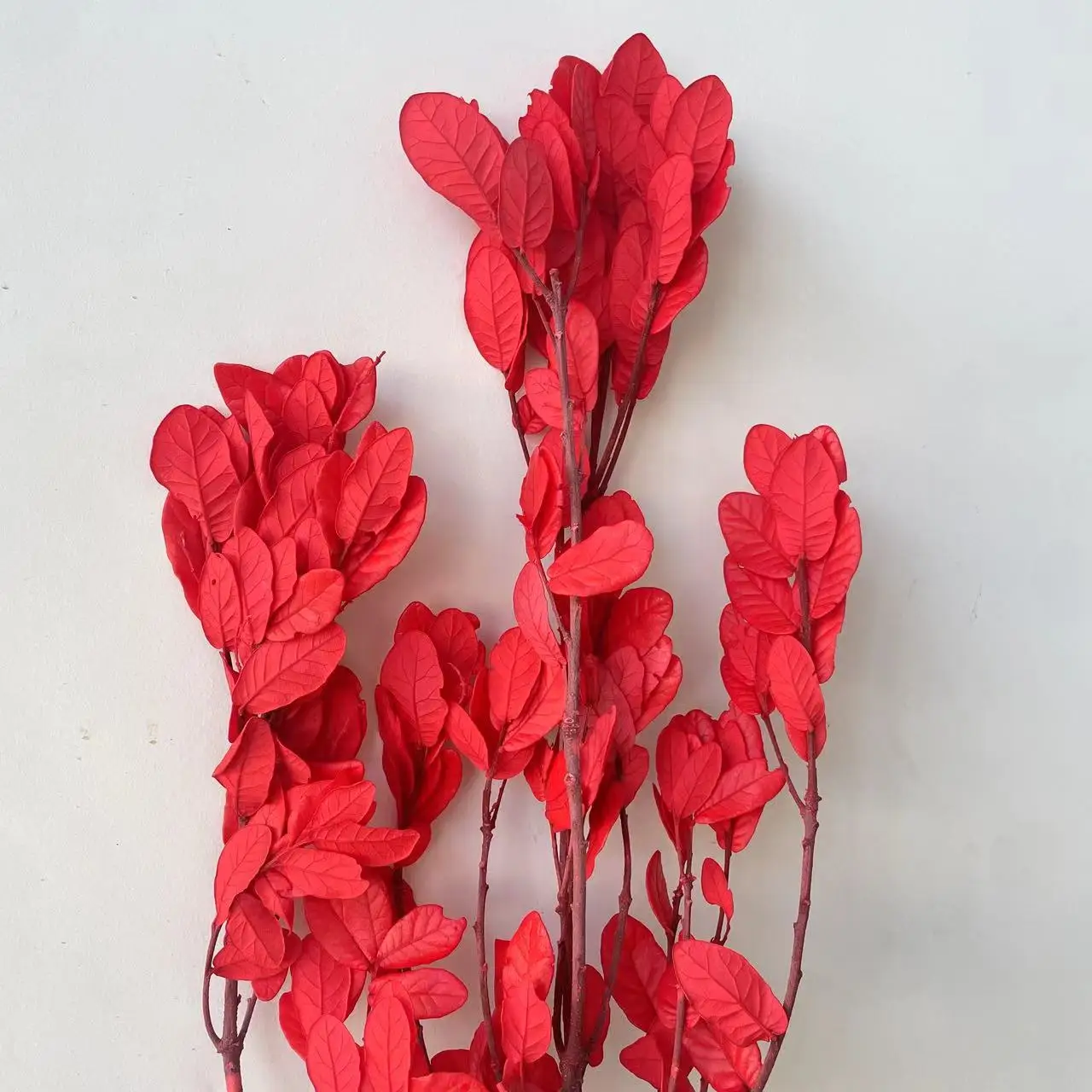 Factory directly wholesale preserved plants handmade leaves materials dried flower for wedding decoration