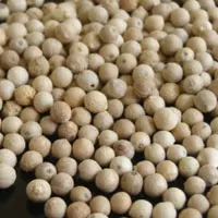 VIETNAM WHITE PEPPER 630 DOUBLE WASHED WHOLESALE HIGH QUALITY BEST PRICE BRC FOOD TOP SUPPLIER HANFIMEX GROUP