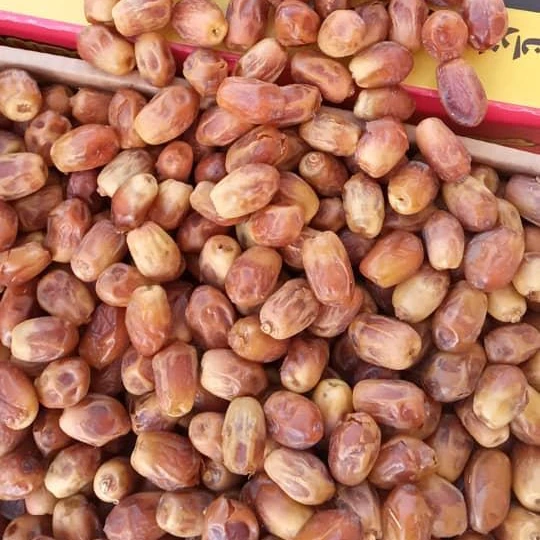 Best Quality Zahedi Dates - Fresh Mozafati/Kabkab Dates - Wholesale Date