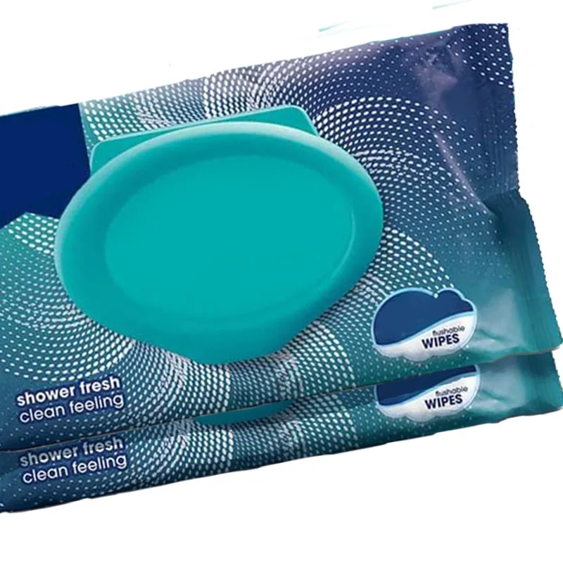 Wholesale New Daily Disposable Cleaning Flip Cover Wipes Clean Room Wipes With Logo