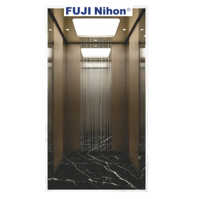 FUJI factory small villa lift hot sale low cost 320kg 400kg 0.4m/s home Elevator