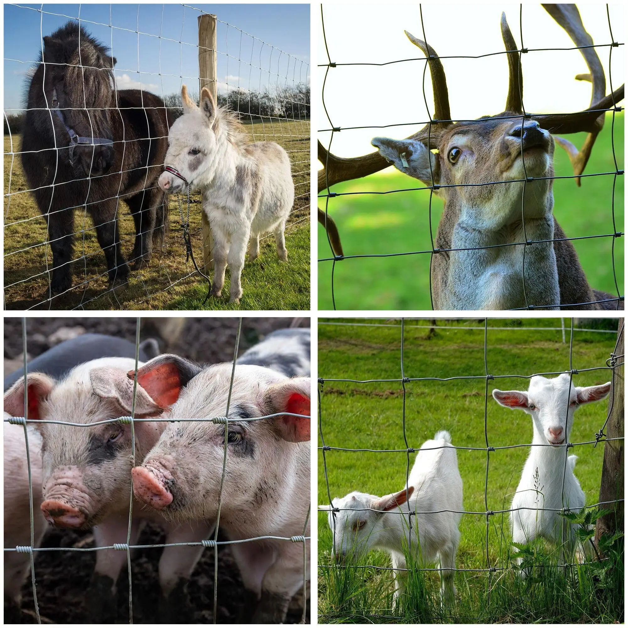 Gauge Galvanized Wire Fence for Cattle Deer Hog Goat Horse Farm 1/4 Mile