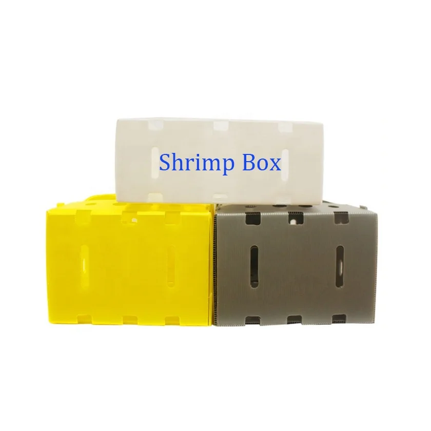 PP Corrugated Seafood Storage Frozen Shrimp Box