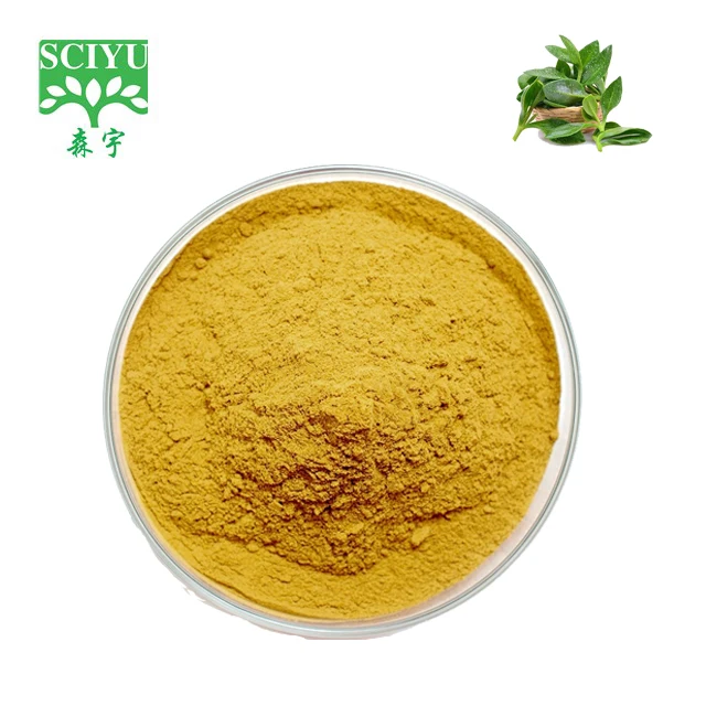 
natural pure Andrographolide/andrographis paniculata extract 