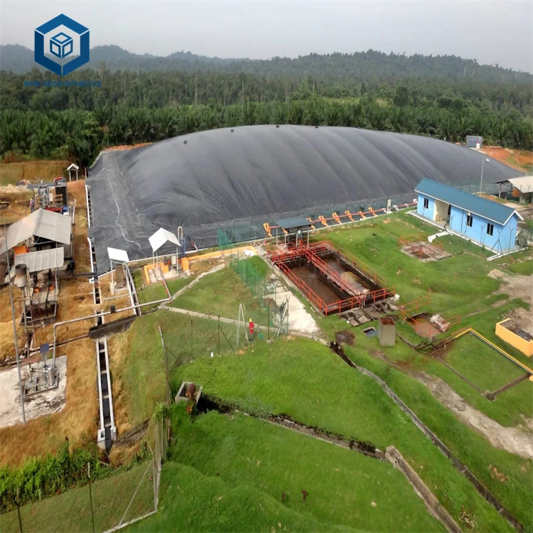 HDPE Liner High Density 1.5mm Polyethylene Geomembrane for Biogas Digester Project in Morocco