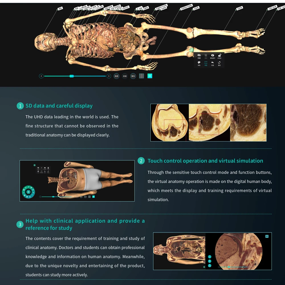 School Teaching System Digital Human Anatomy System Anatomage 3d Body Virtual Autopsy Table