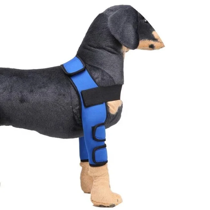 New design dog shoulder brace front leg canine elbow protector prevents injuries