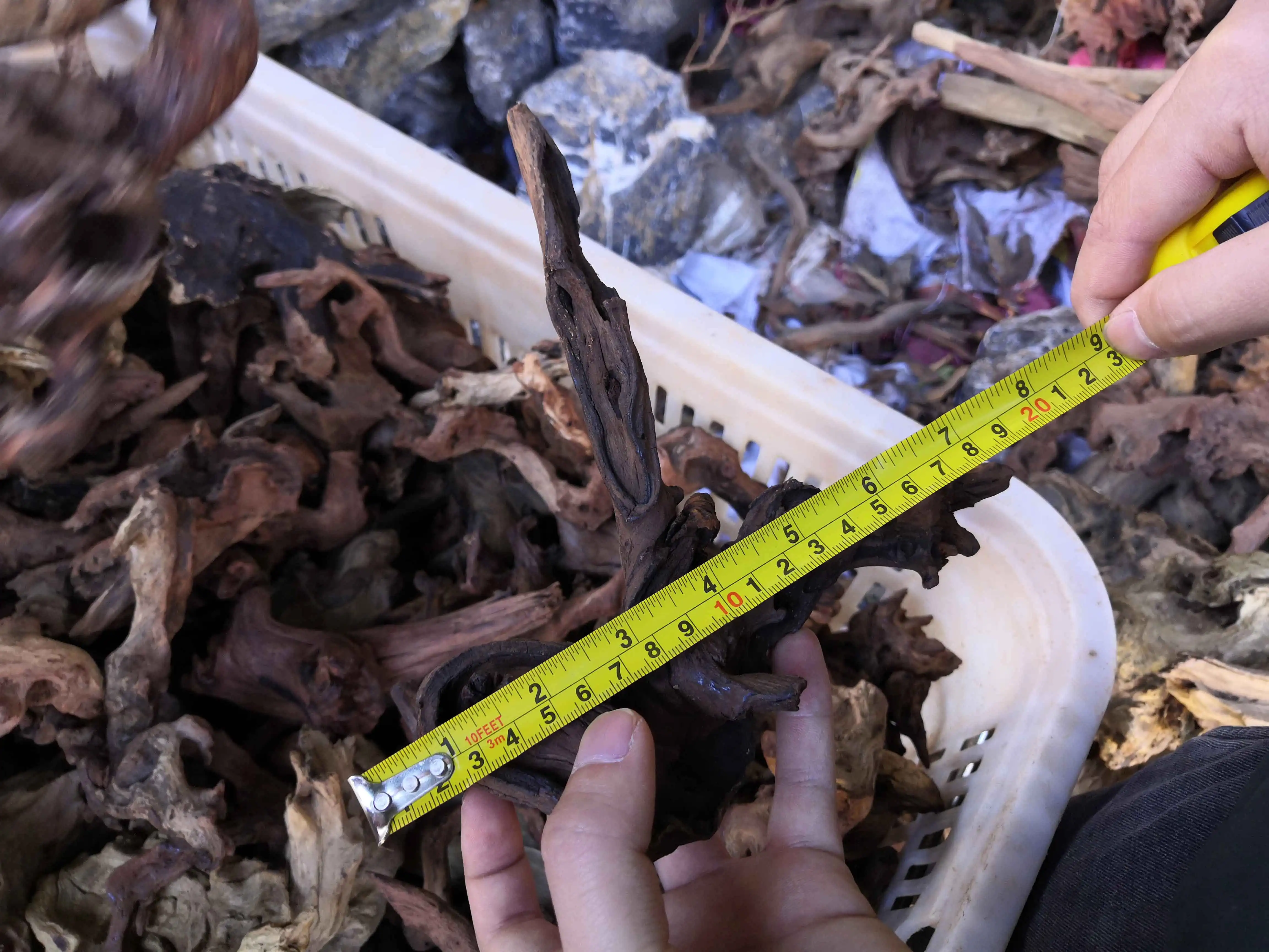 Small submerged wood mini purple teak coral shrimp wood tied water banyan aquarium aquatic landscape submerged wood