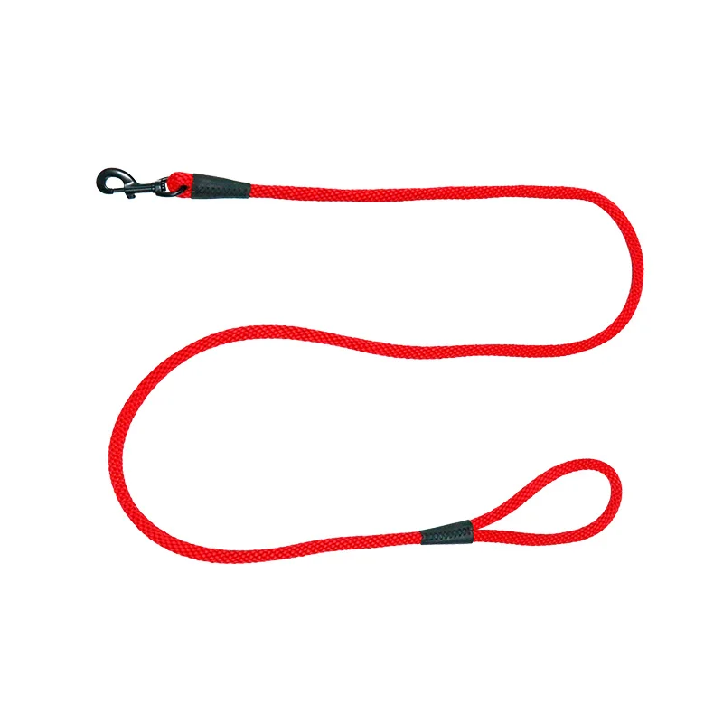 Dog Leash PP Polyester Nylon Cotton Webbing Organic Hemp with Rivet Pattern Sustainable Solid Design Running SS 10 Colors Option