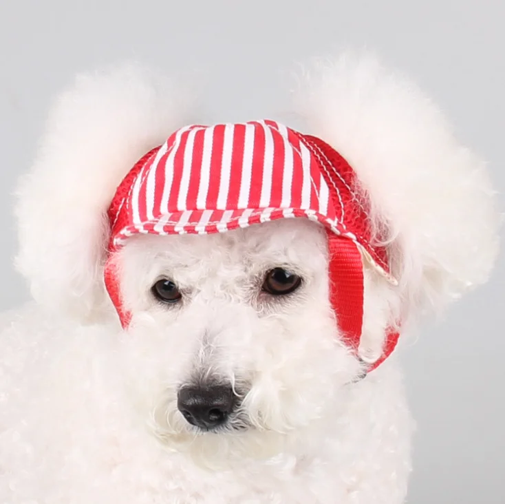 Best Selling Winter Animal Adorable Accessories Headdress Outdoor Waterproof Sun Proof Baseball Pet Hats For All Small Dog Cat