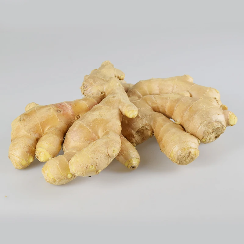 Оптовая продажа Сертифицированный Gap поставки оптом свежего имбиря