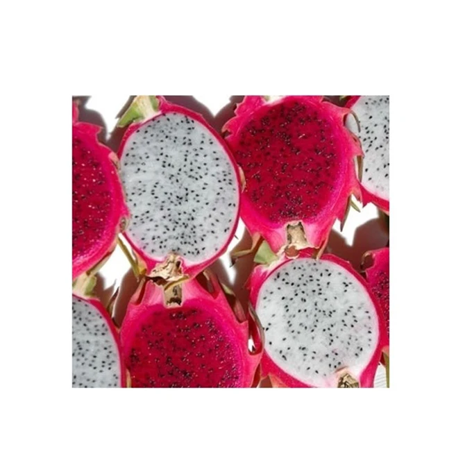 High Grade Factory Price Importer Fresh Tropical Red White Dragon Fruit