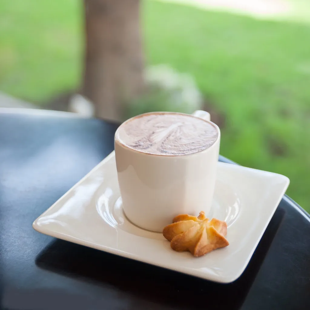 Supplier Good Price Sugar Free Cake Topping Decoration Whipping Cream Powder