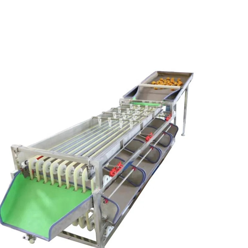 
China Factory Fruit and Vegetable Sorting Machine By Size Sorting 