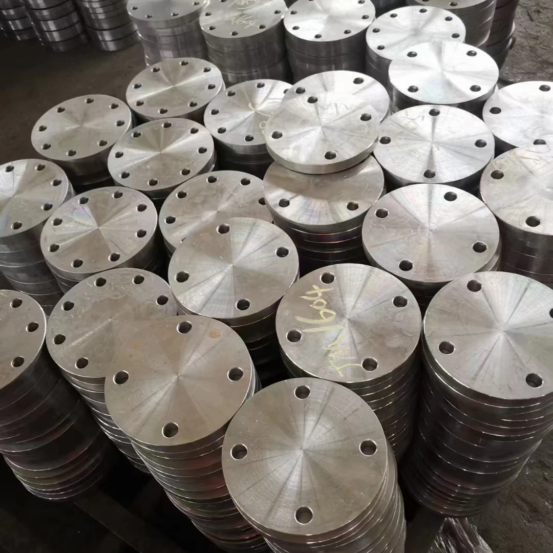 High Quality Stainless Steel 304 316L Forged Threaded Drainage Flanges