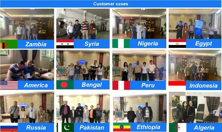 biscuit manufacturing plant/biscuit rotary moulder/biscuit dropping machine