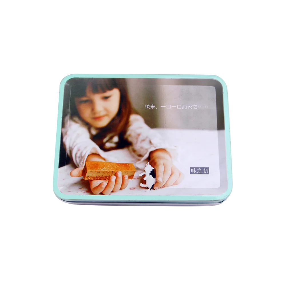 Wholesale Hinged Rectangular Tin Box Small Metal Hinge Packing Tin Box Christmas Tin Boxes Present